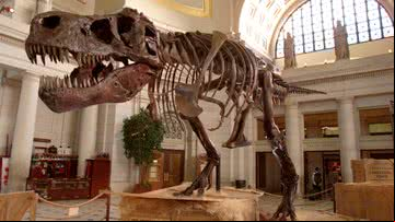 Esqueleto de um Tyrannosaurus rex - Getty Images