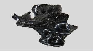 Cérebro de vítima se transformou em vidro após erupção do Vesúvio, há 2 mil anos atrás - Divulgação/ New England Journal of Medicine