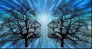 Imagem meramente ilustrativa - Imagem de Gerd Altmann por Pixabay